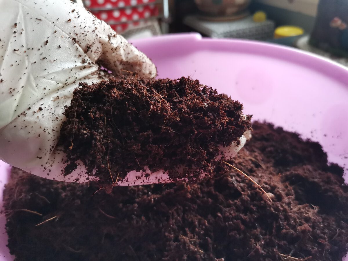 Експерти пояснили, як правильно готувати субстрат для вирощування міцної розсади