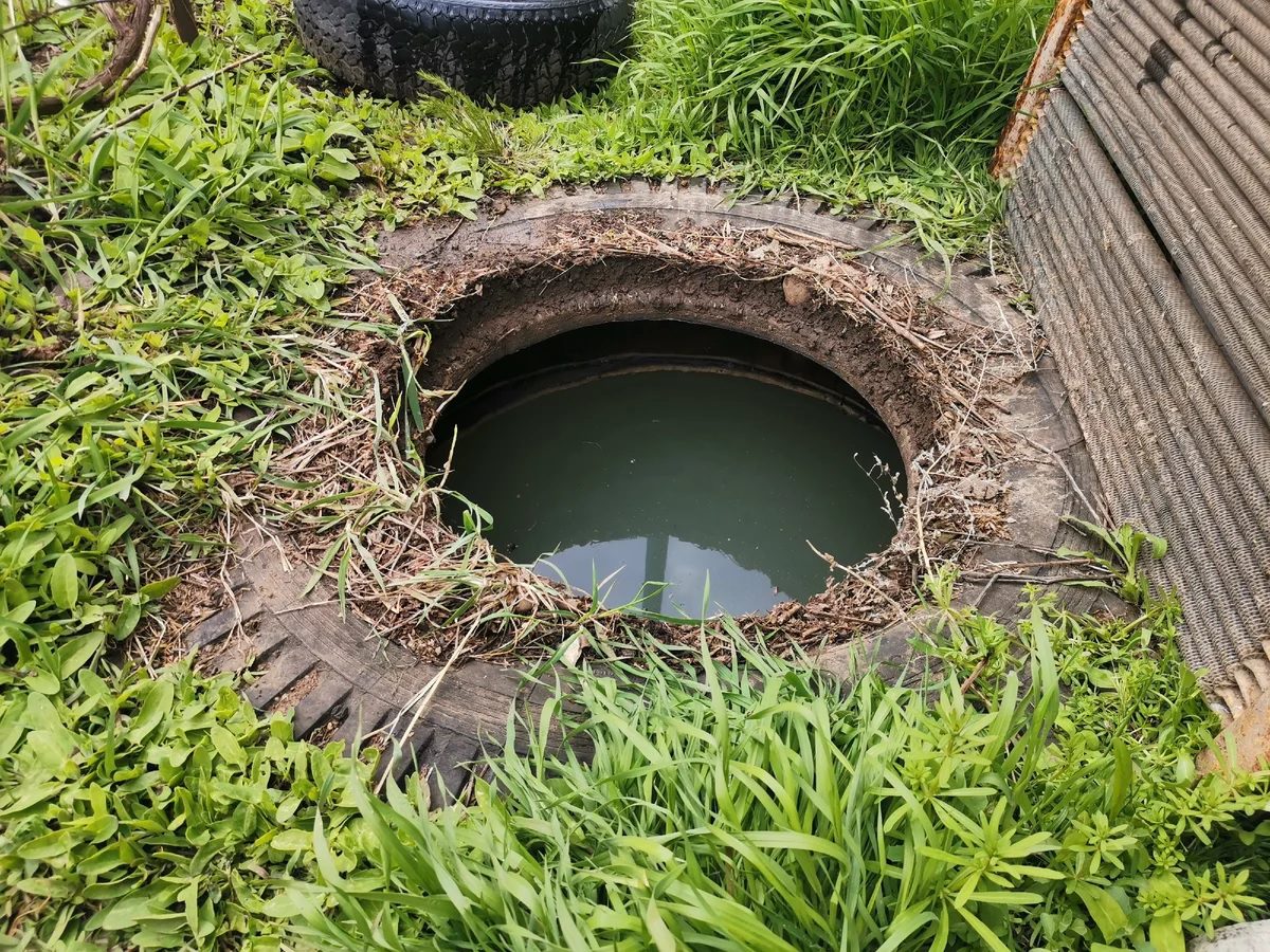 Експерти пояснили, як очистити вигрібну яму за допомогою простого засобу – для економії грошей