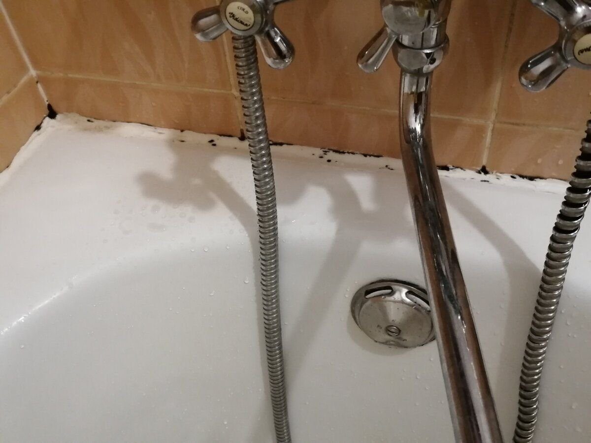 Експерти розповіли, як можна ефективно позбутись від плісняви у ванній кімнаті з простим засобом