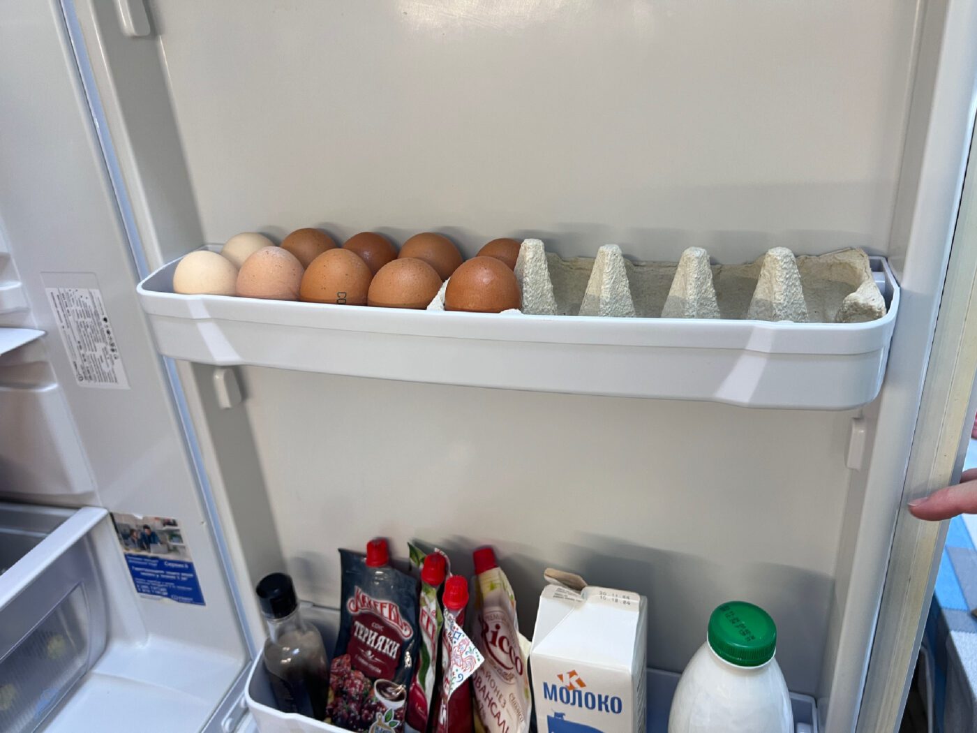 Експерти пояснили, як зберігати продукти в холодильнику, аби вони не псувались довгий період