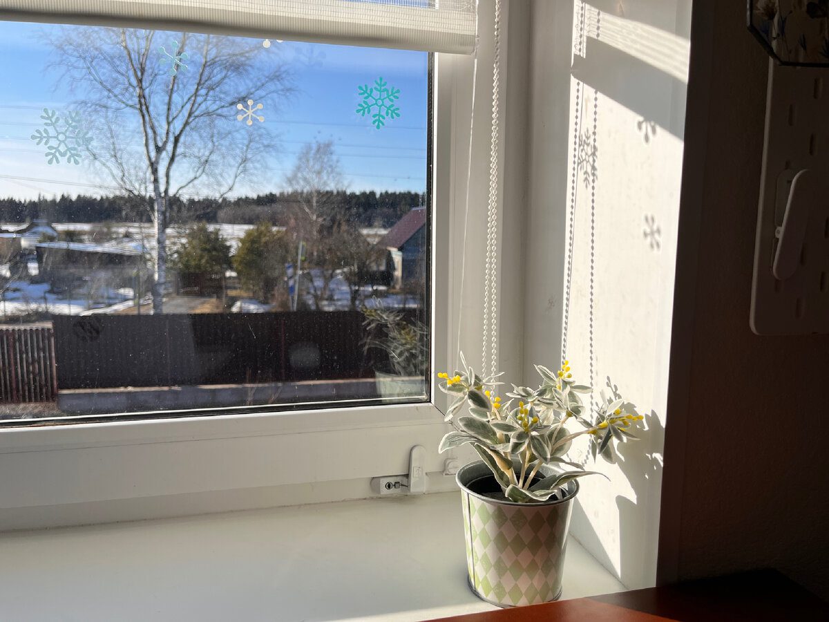 Експерти розповіли, як правильно мити вікна в зимовий період, аби вони не були брудними