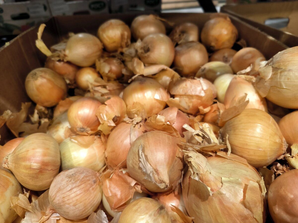 Експерти пояснили, як правильно зберігати цибулю взимку, аби вона довго не починала псуватись