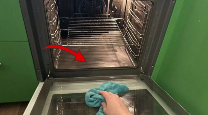 Як очистити духовку від жиру та нагару швидко