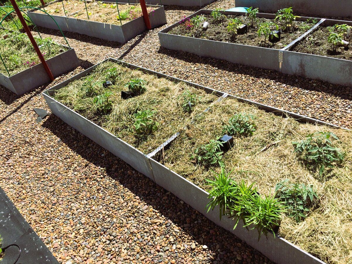 Експерти пояснили, як можна зробити підземні грядки на городі, аби зберегти спину здоровою