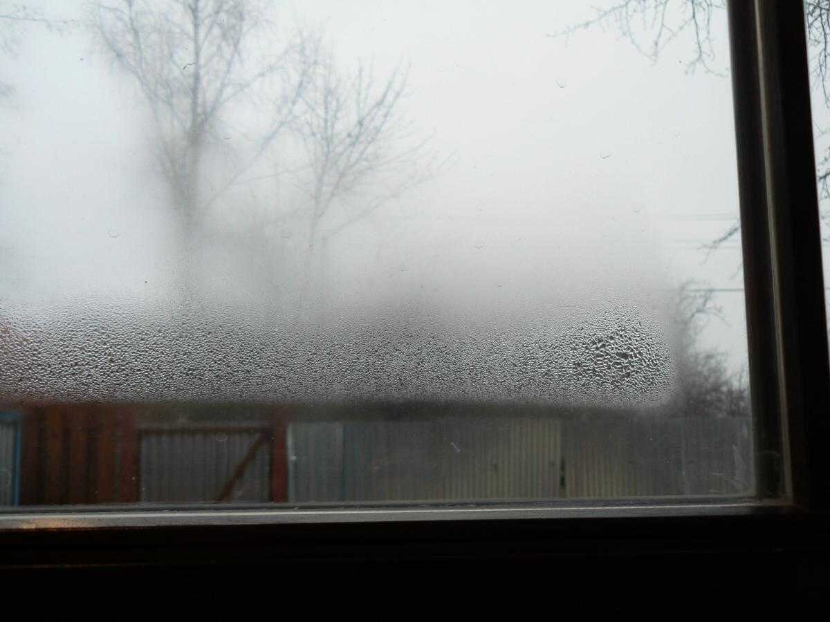 Експерти пояснили, який простий лайфхак допоможе позбутись від конденсату на вікнах