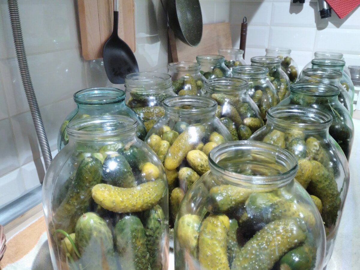 Господині розповіли, як правильно маринувати огірки, аби вони були хрусткі та соковиті