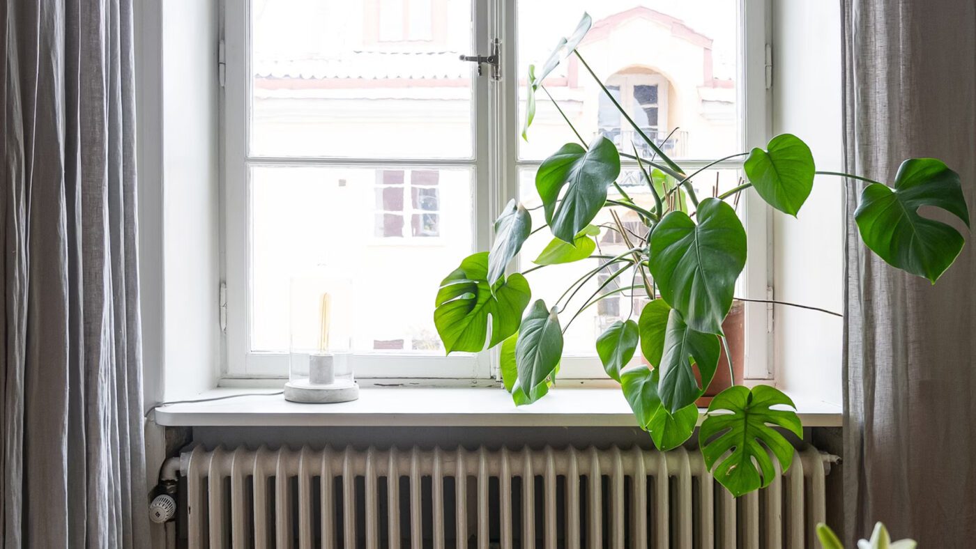 Як створити стійкий аромат для оселі своїми руками