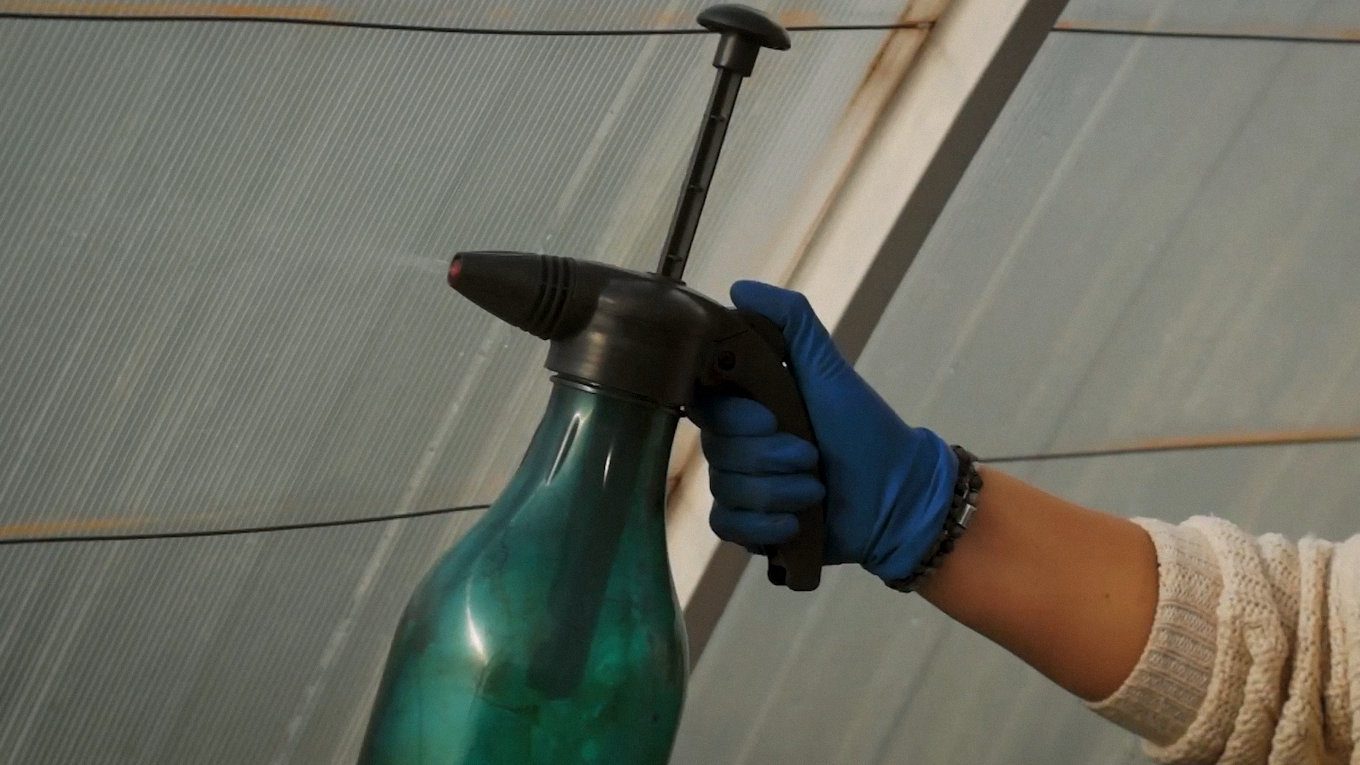 Городники показали, як потрібно обслуговувати теплиці перед зимою