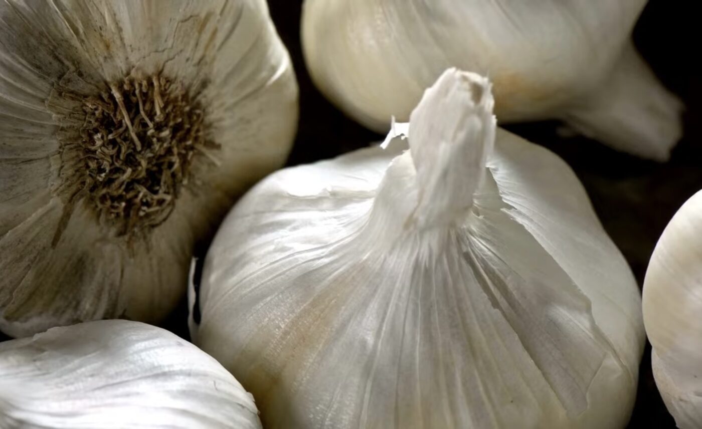 Вдалі дати для посадки озимого часнику