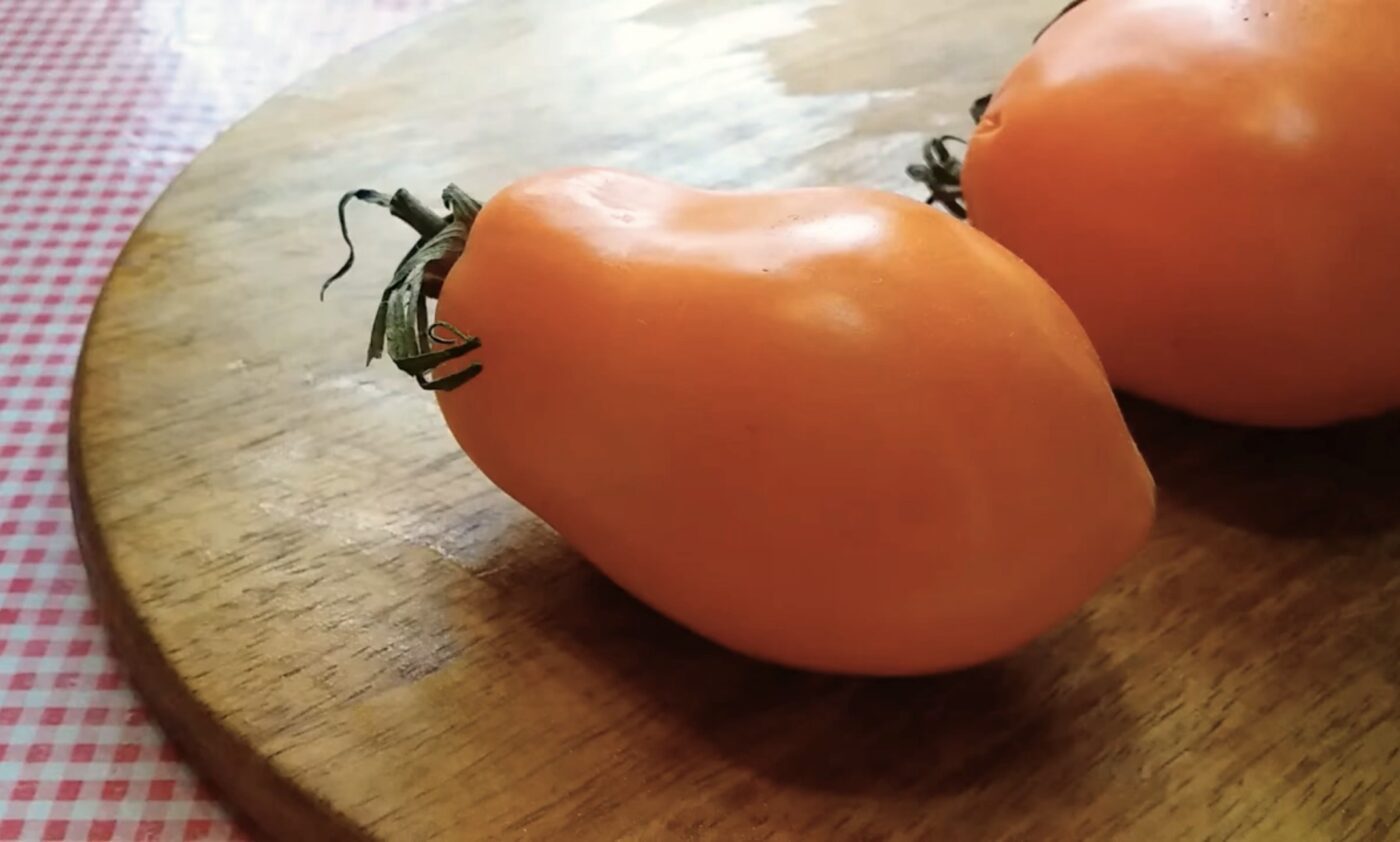 Найкращий сорт помідорів у 2025