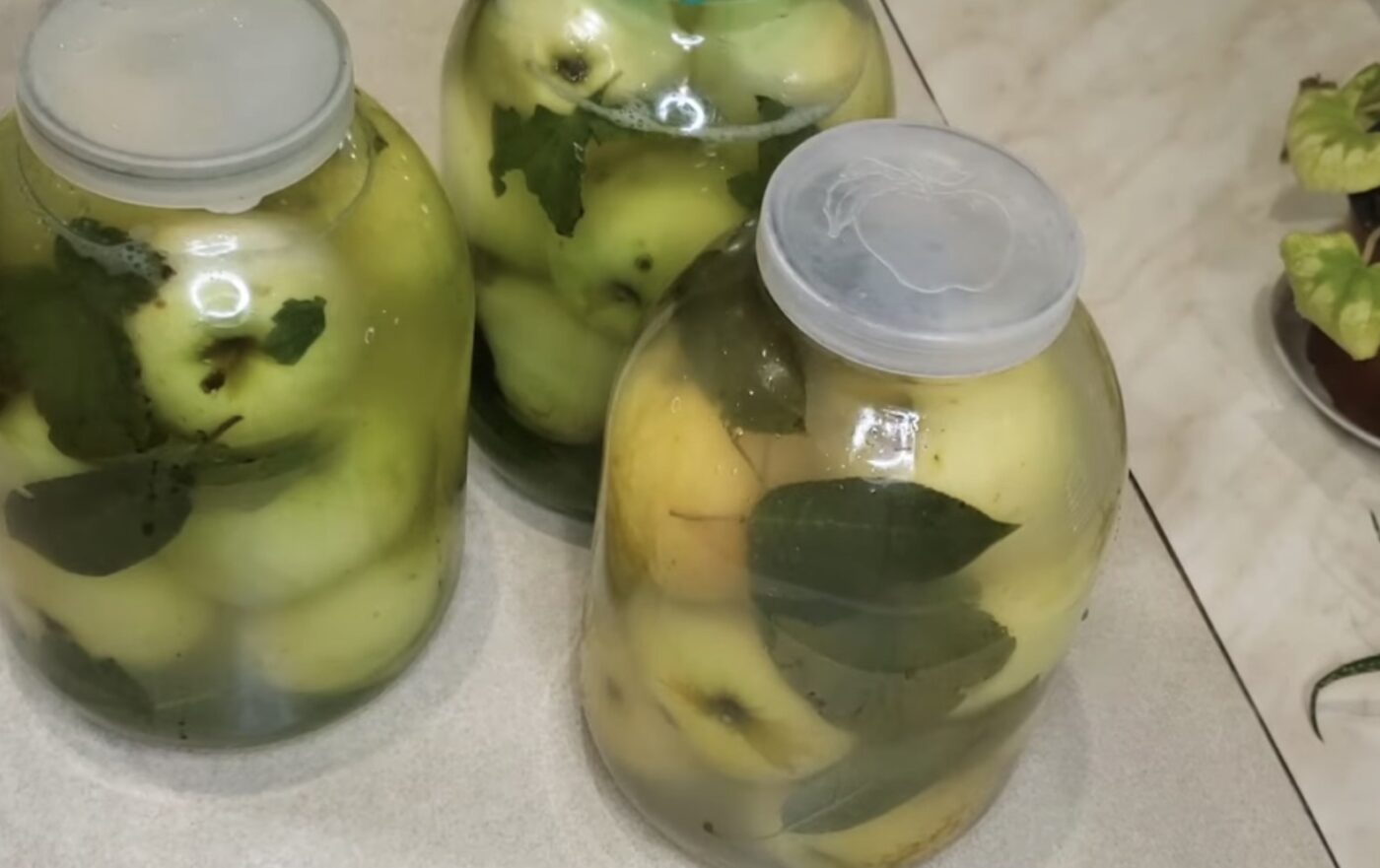 Рецепт смачних квашених яблук