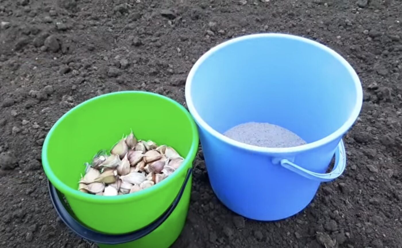 Простий, але дієвий спосіб посадки озимих культур