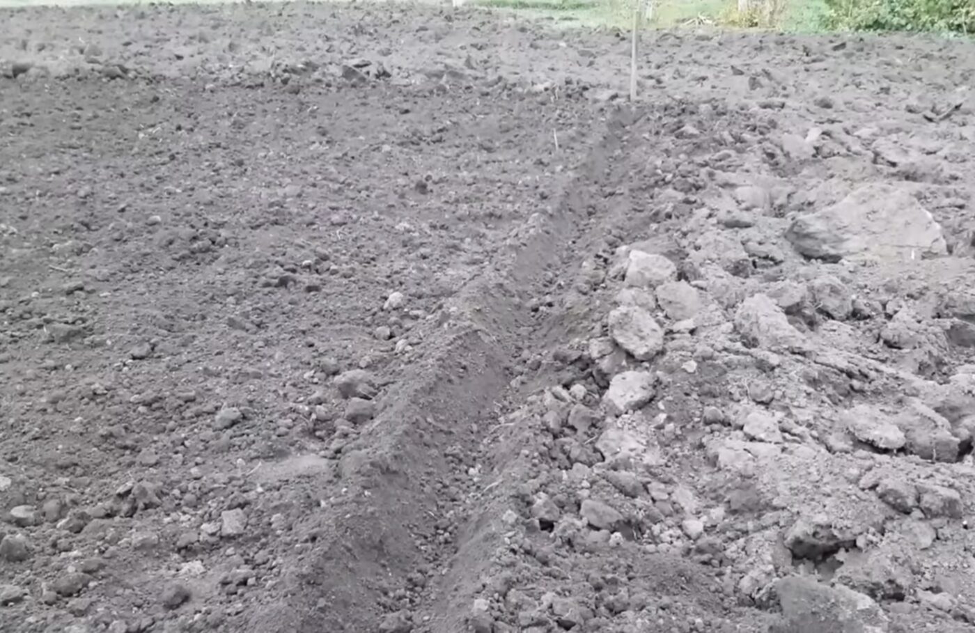 Простий, але дієвий спосіб посадки озимих культур