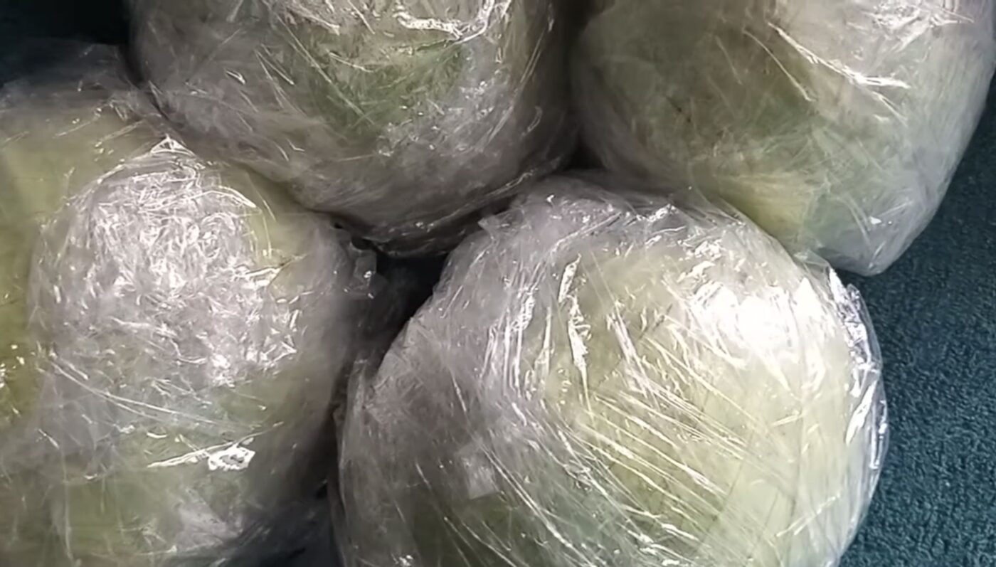 В яких умовах капуста зберігається найкраще взимку