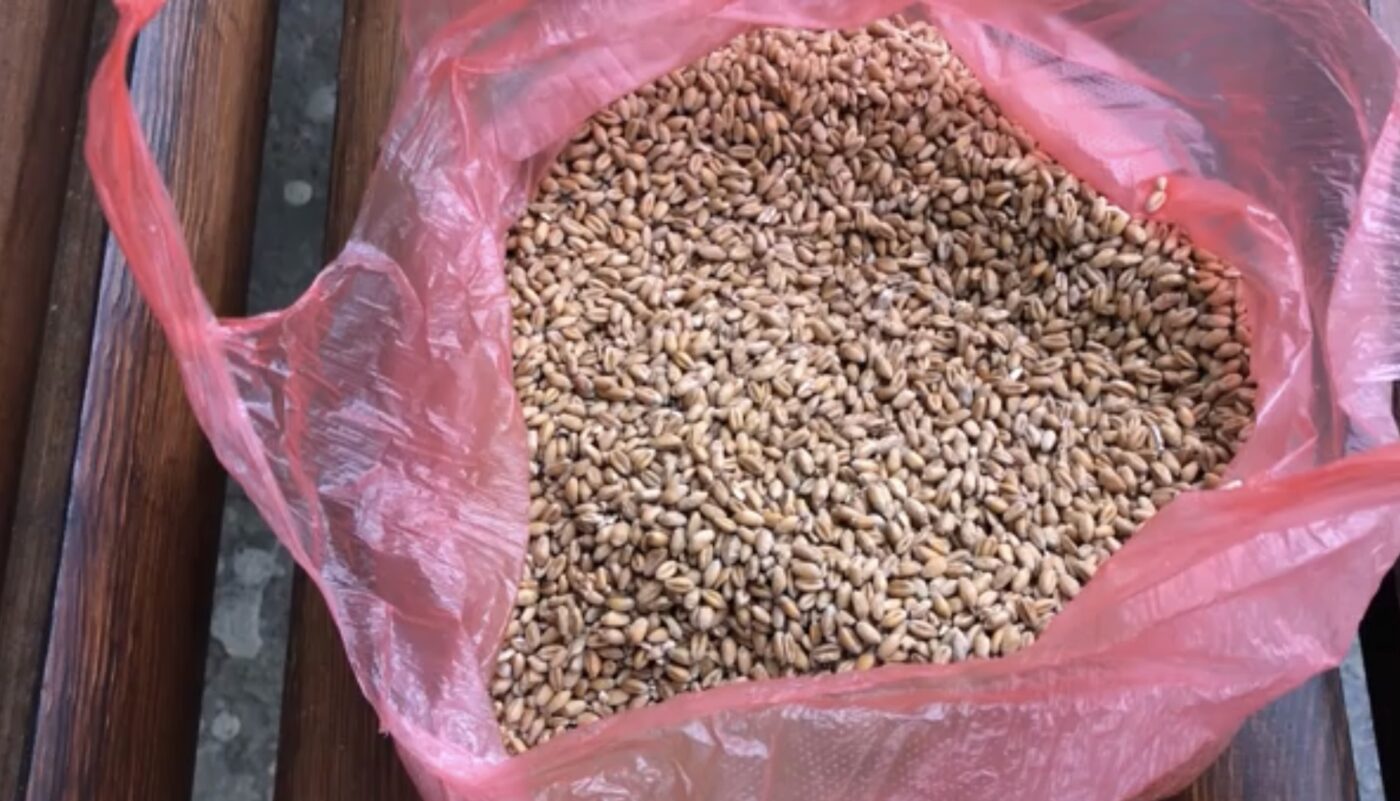 Вдалі дати для посіву сидератів у листопаді