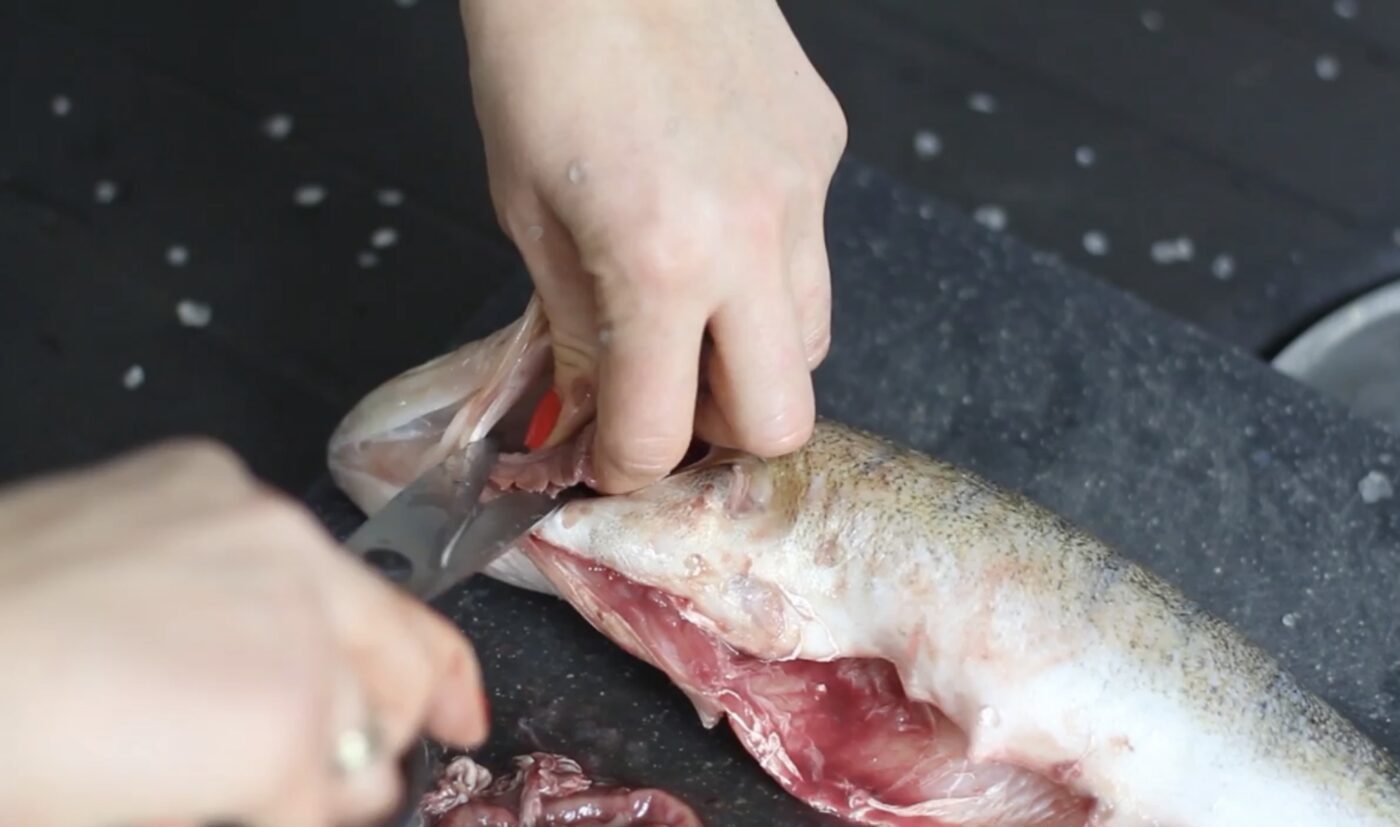 Як легко почистити рибу