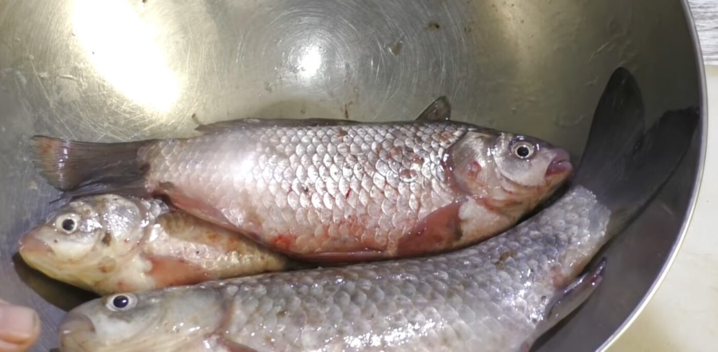 Як правильно зберігати рибу