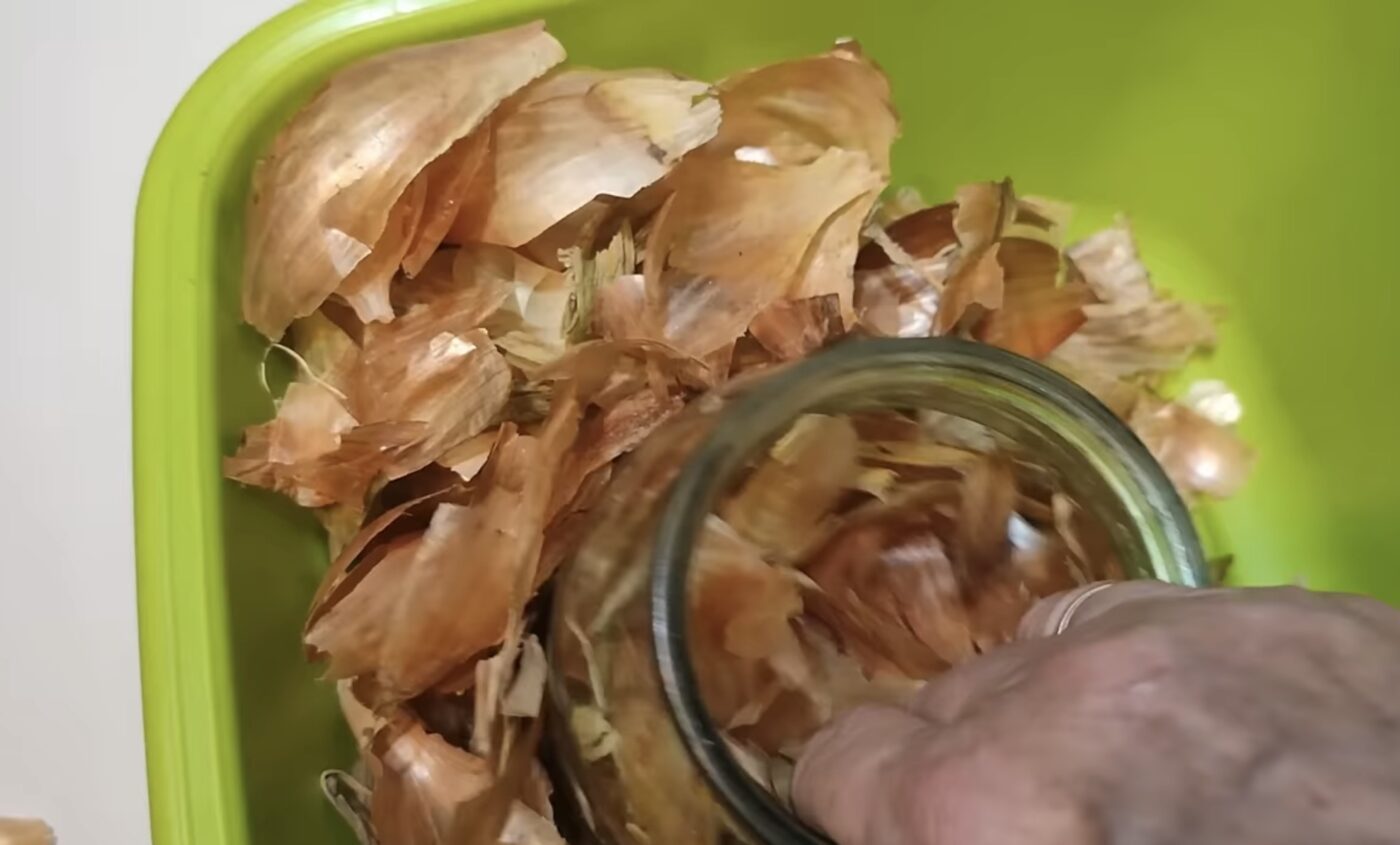 Одна причина, чому не можна викидати стару цибулю Одна причина, чому не можна викидати стару цибулю