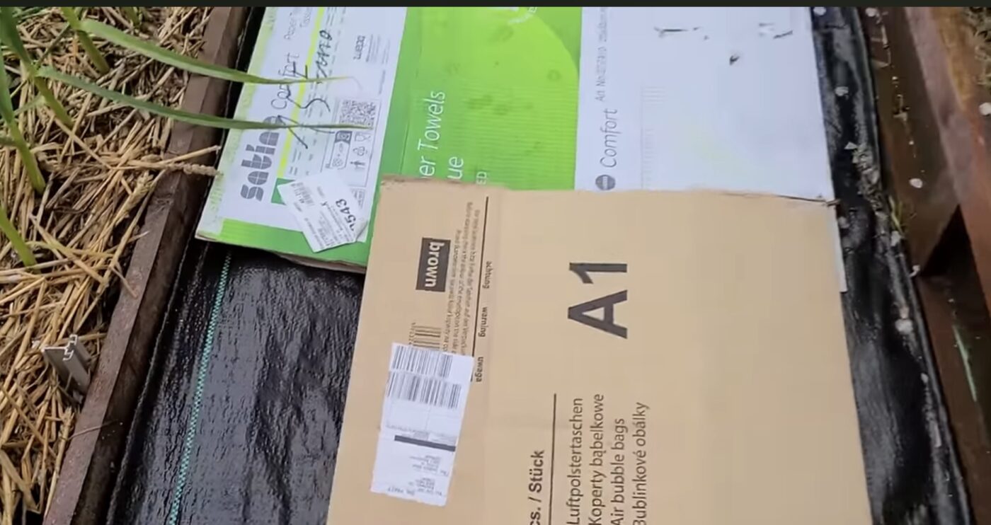 Що допоможе збільшити врожай на городі