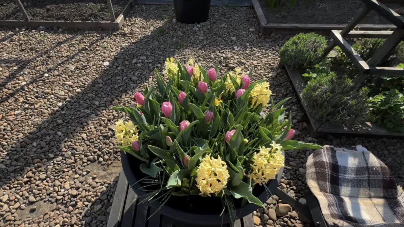 Чим підживити сад восени