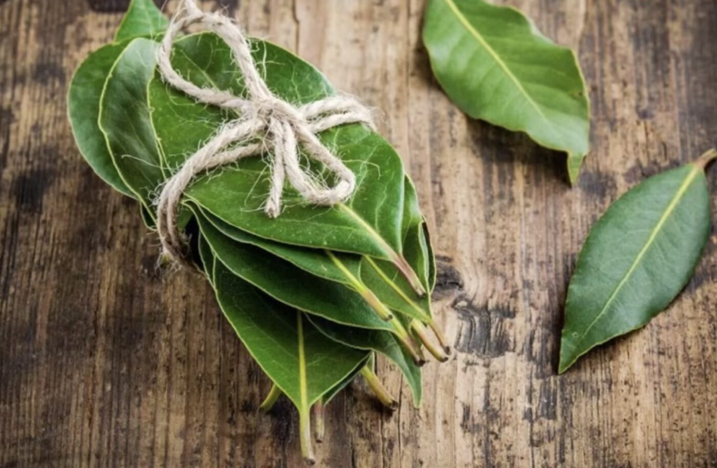 Як прибрати неприємні запахи в домі Як прибрати неприємні запахи в домі