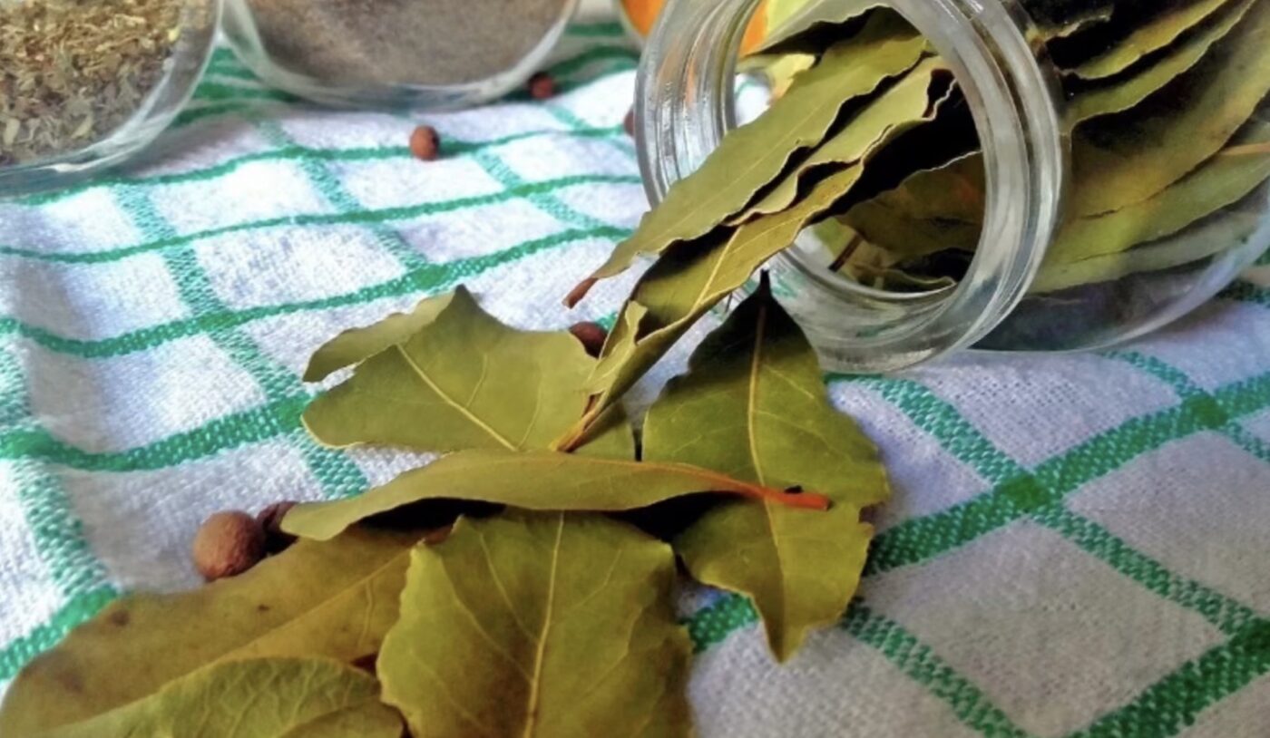 Як прибрати неприємні запахи в домі Як прибрати неприємні запахи в домі