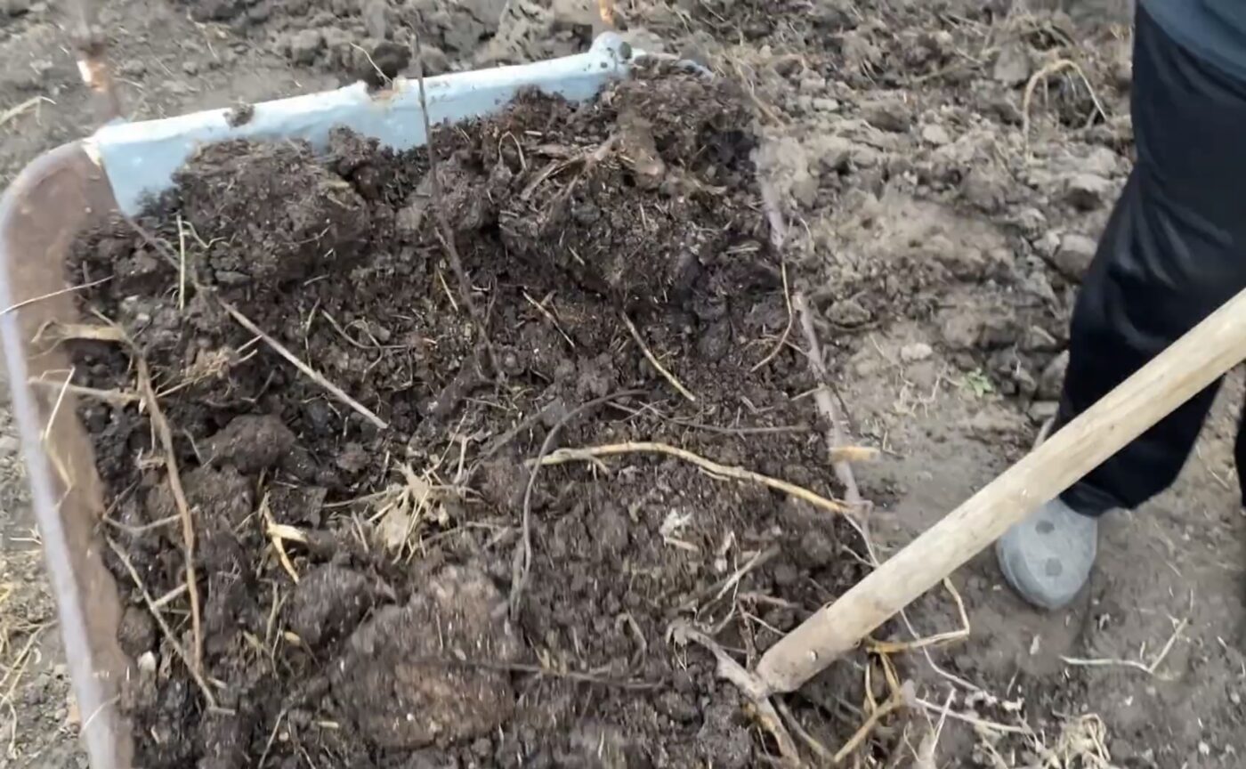 Які добрива роблять ґрунт пухким і родючим Які добрива роблять ґрунт пухким і родючим