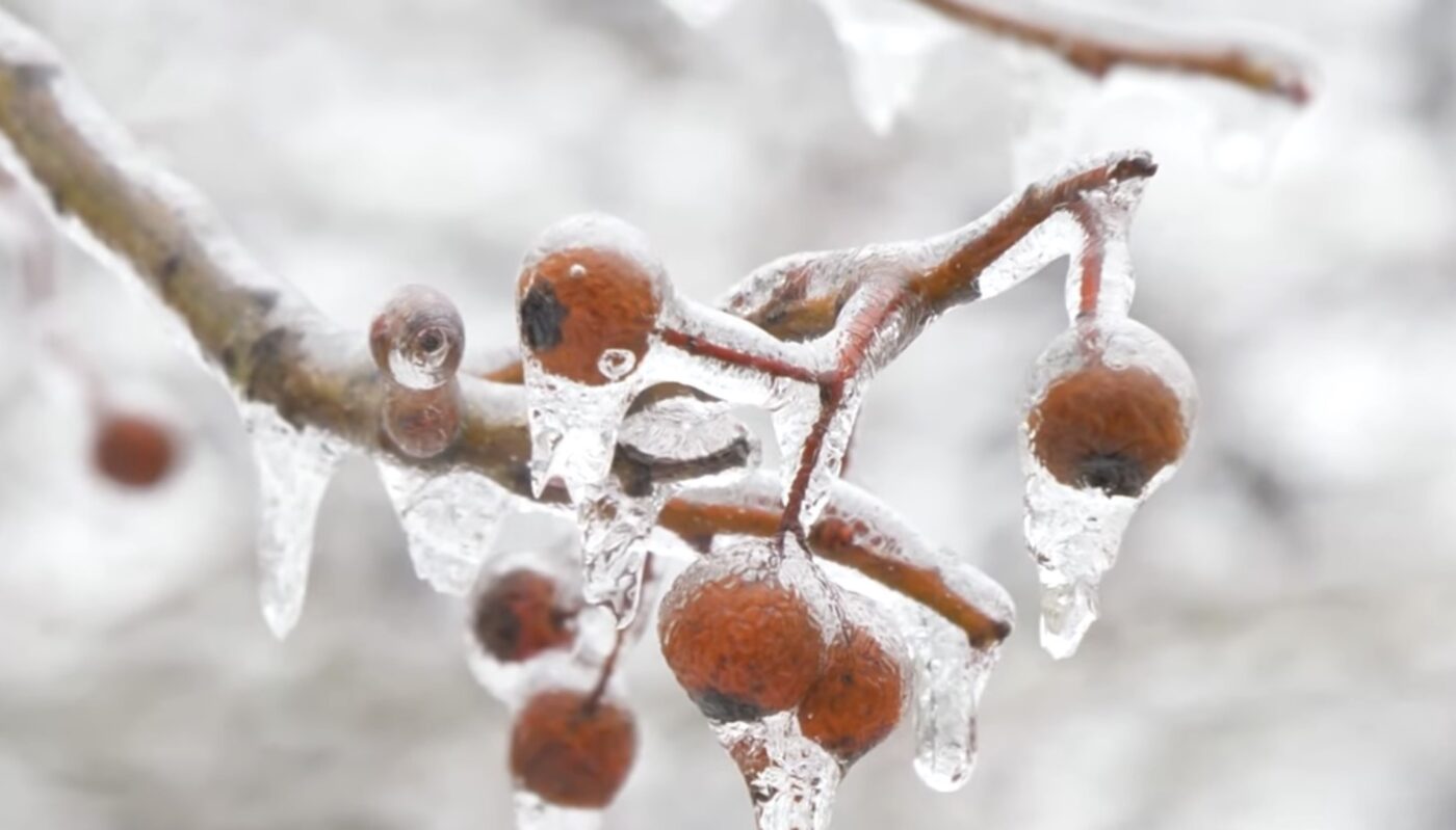 1 проста хитрість в догляді за взуттям перед зимою