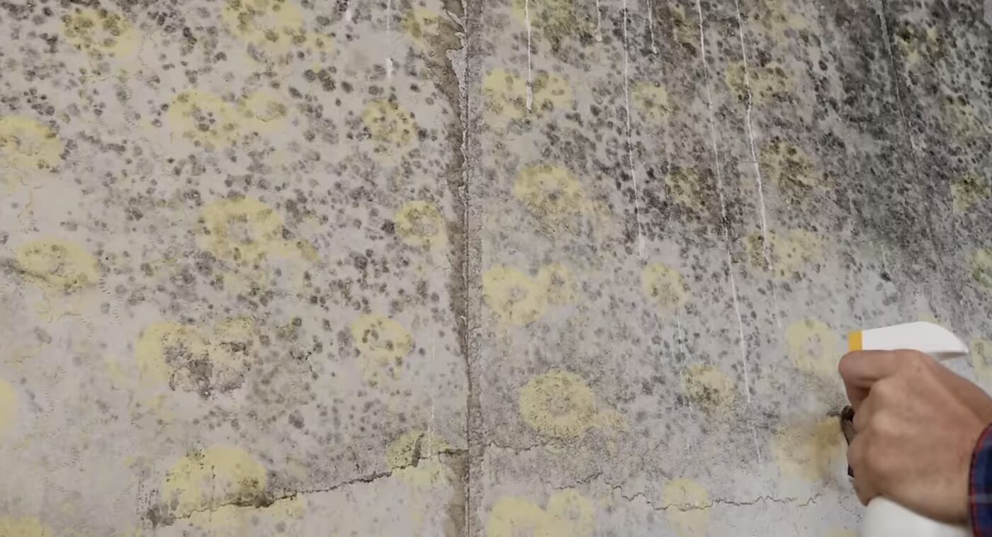 Засіб, що ефективно бореться з пліснявою