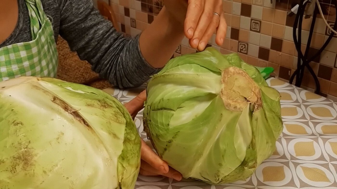 Чому важливо добре мити капусту перед приготуванням Чому важливо добре мити капусту перед приготуванням