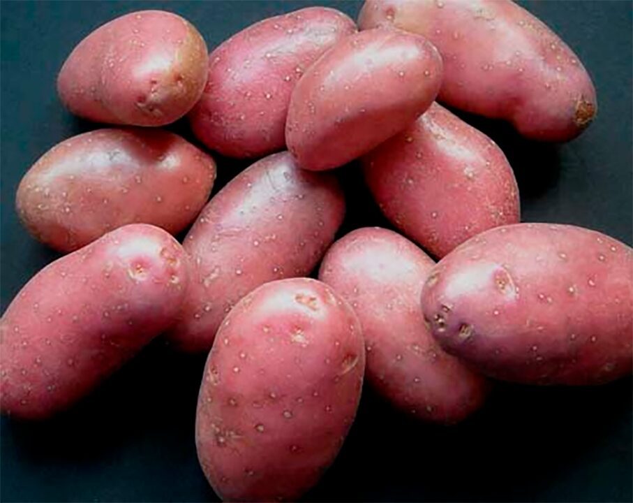 Що не можна садити на городі після картоплі