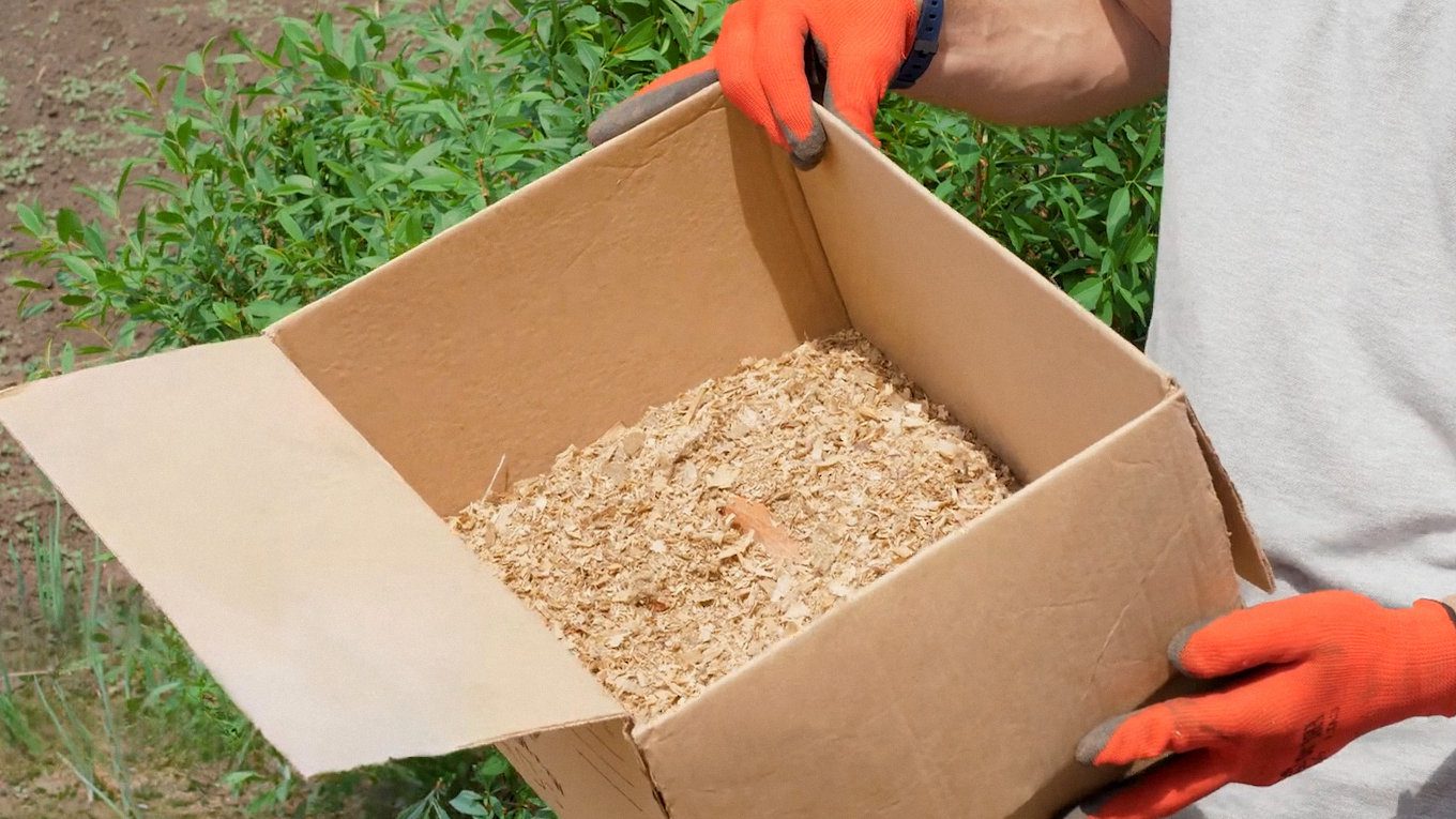 Агрономи пояснили, як укладати мульчу, щоб грядки довше тримали вологу