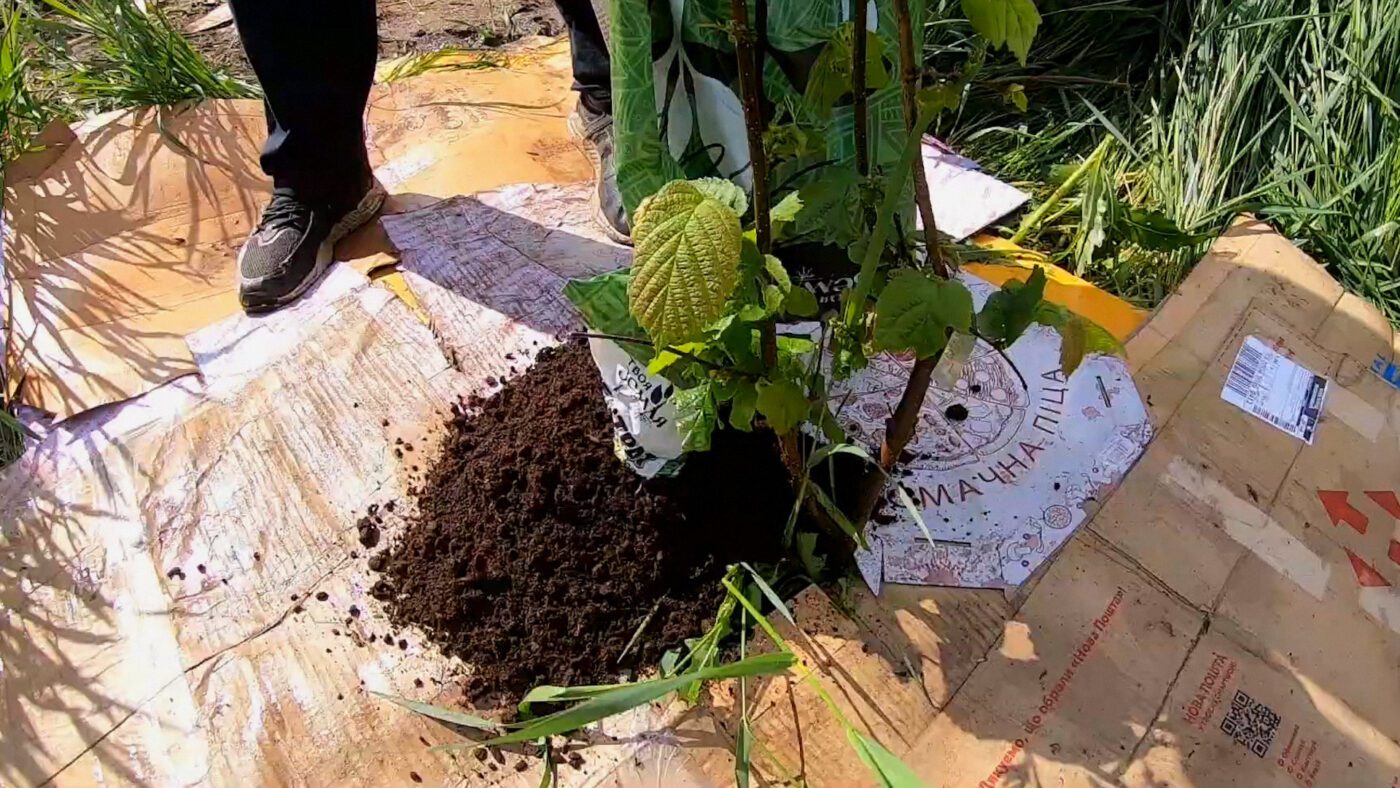 Городники пояснили, як за допомогою мульчі позбутися бур'янів на грядках