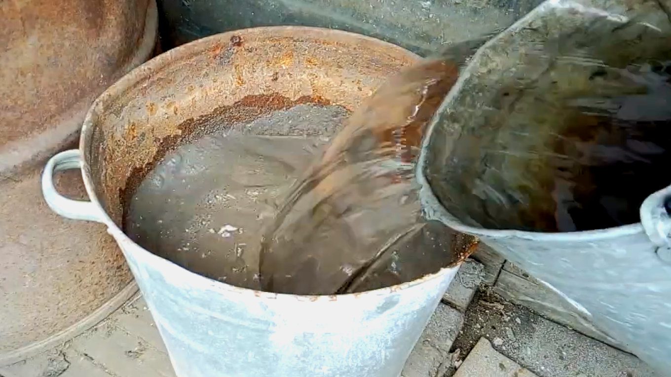 Усього 3 склянки золи на 10 л води – проста, але ефективна підживка для абрикоси