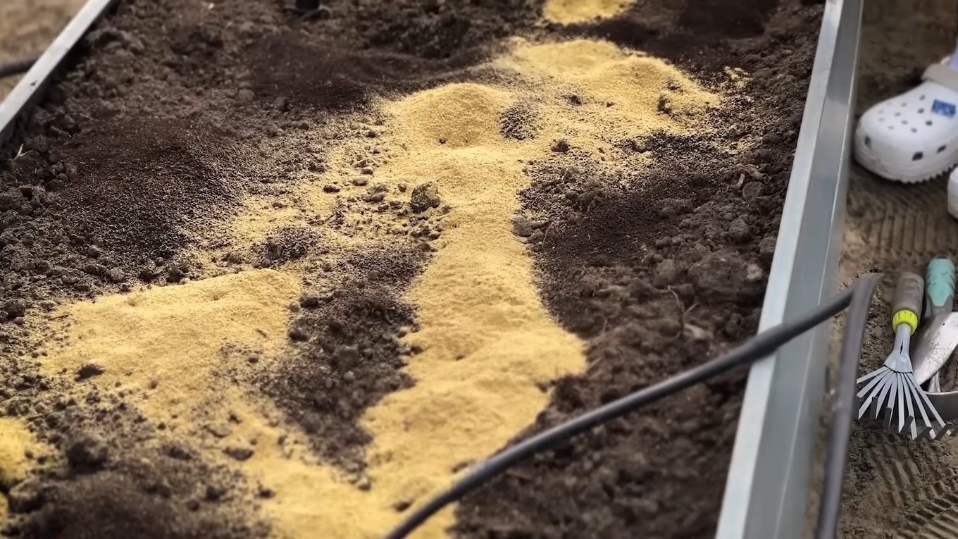 Фермери порадили просту перевірку землі перед посадкою озимого часнику