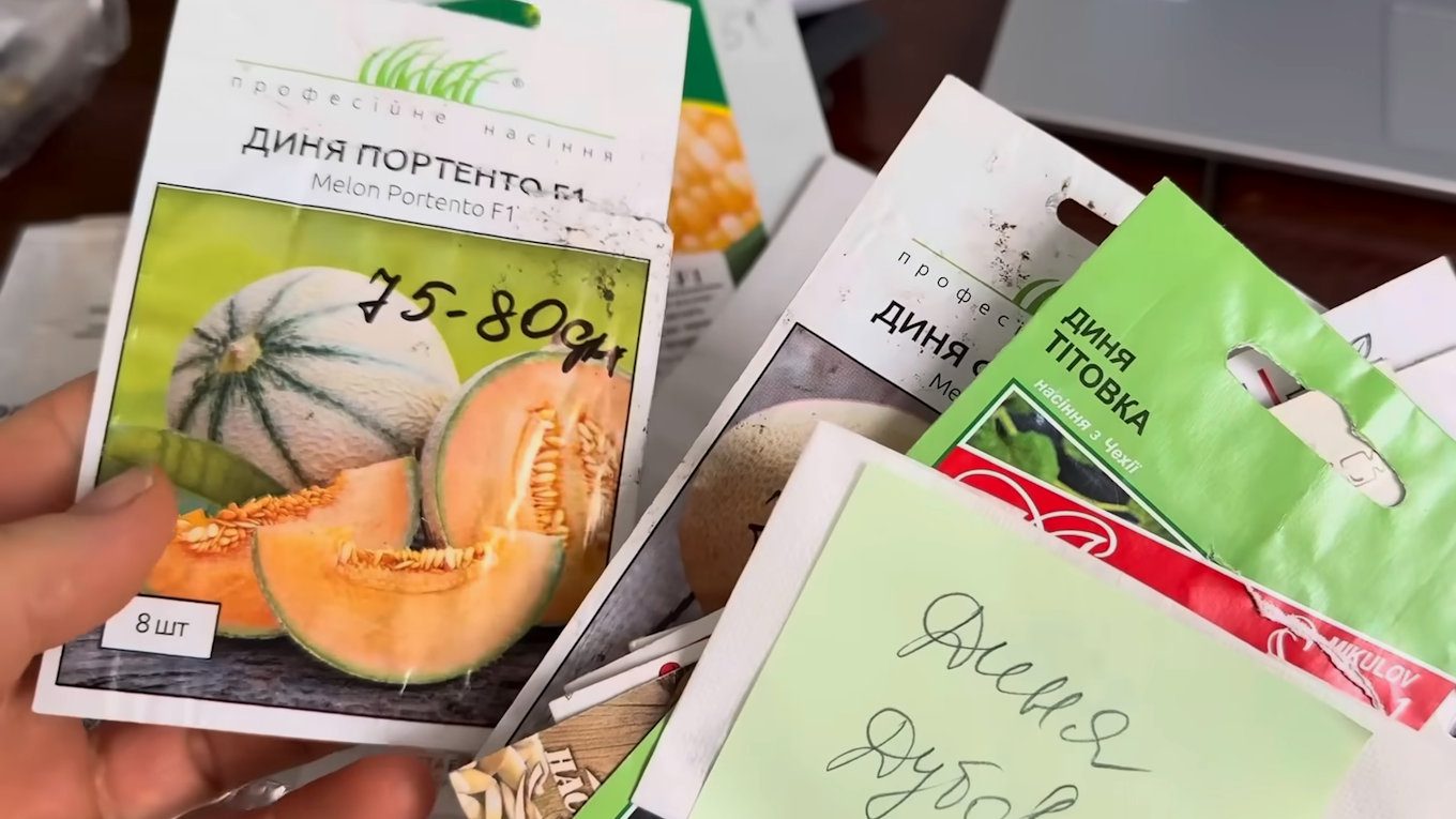 Перед основним посівом перевірте 5-10 насінин на вологій серветці, щоб знати реальну схожість