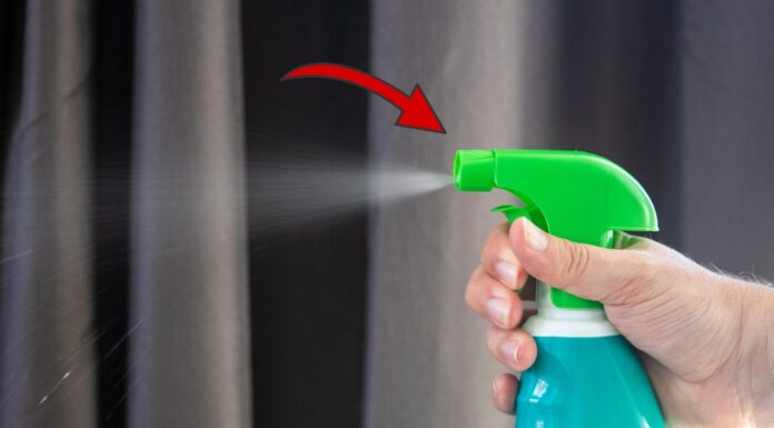 По 5 крапель у пульверизатор – і вдома пахне, як у найдорожчому СПА: натуральний ароматизатор Як приготувати домашній ароматизатор