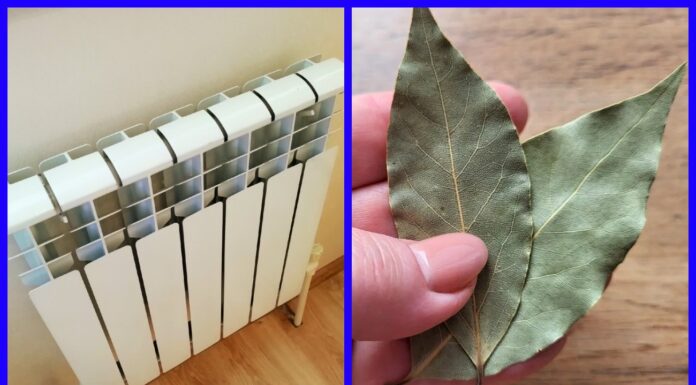 Кладу під батарею 1 листочок – і не “підкручую” опалення: вдома спека, як в Африці, а комуналка – “нульова” Як зменшити витрати на опалення