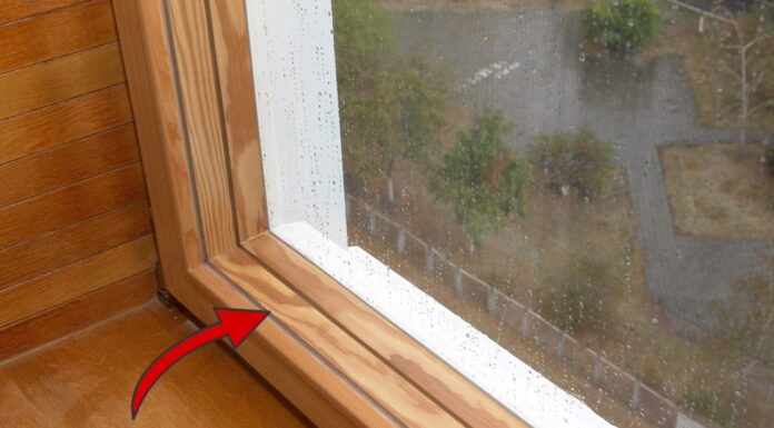 По 5 крапель на ганчірку – і дерев’яні рами вікон стають, як нові: не тріскаються, а фарба не лущиться Чим натерти дерев'яну раму вікон, аби не тріскалась