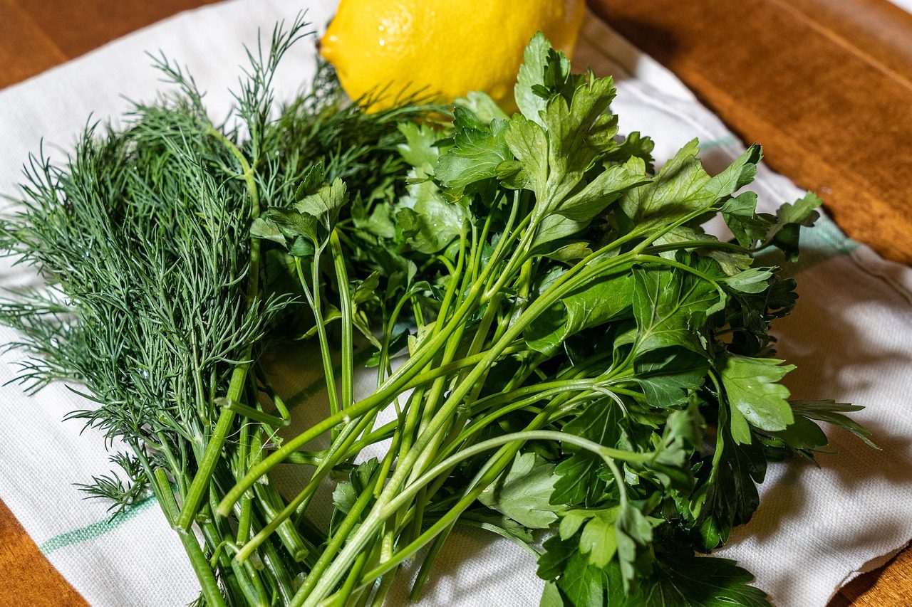 Садівники розповіли, чим найкраще удобрити кріп на підвіконні для кращого та швидшого росту