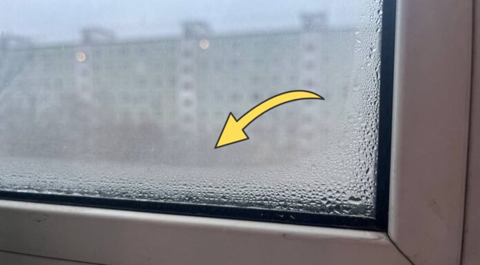 Як позбутись від конденсату на вікнах