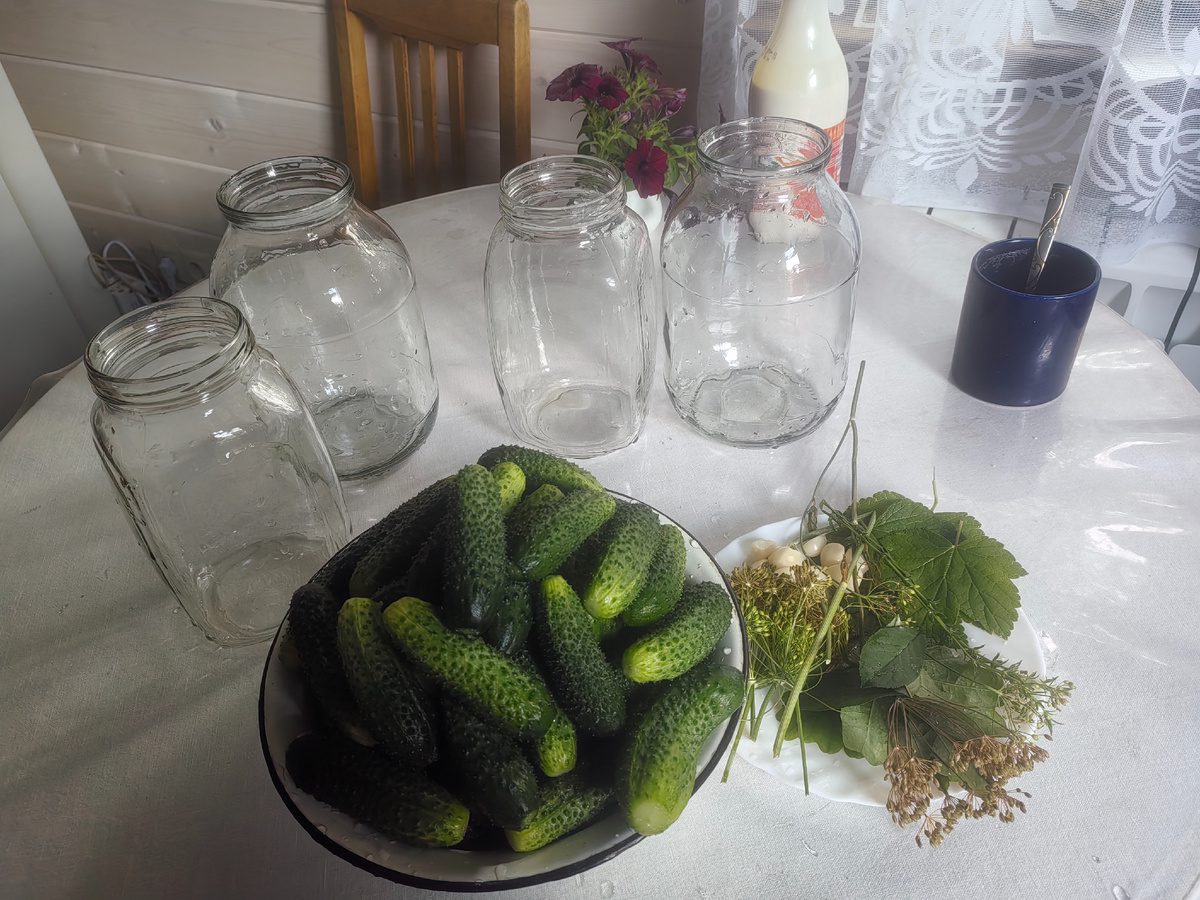 Кулінари розповіли, як приготувати нереально смачні та хрусткі солоні огірки нашвидкуруч