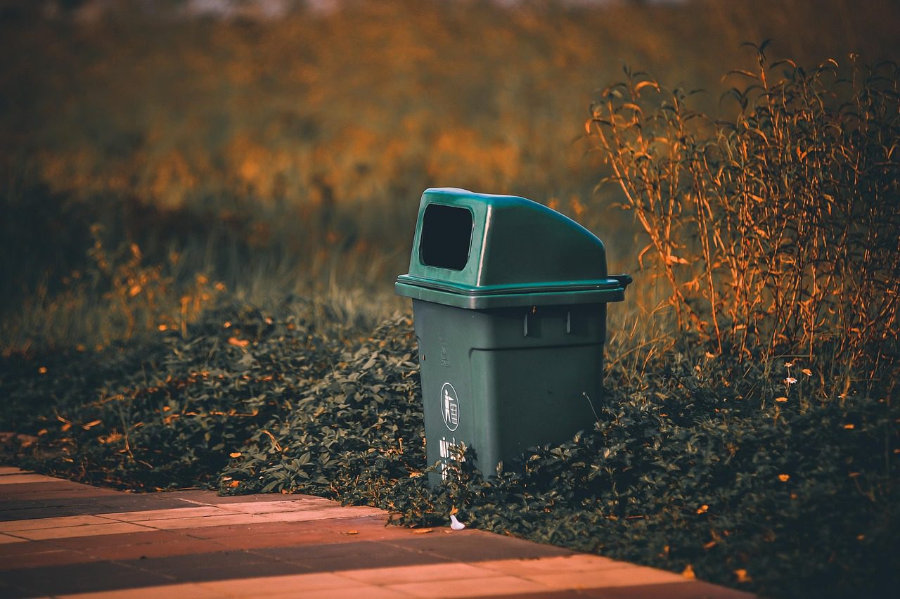 Експерти розповіли, як правильно ароматизувати сміттєве відро, аби від нього не смерділо