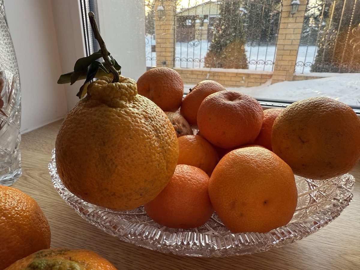 Експерти розповіли, як визначити, чи будуть мандарини солодкими – корисні поради