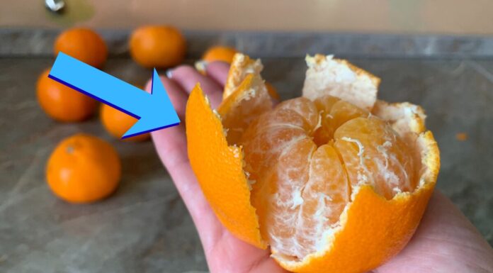 Ніколи не купую такі мандарини: за 5 секунд розумію, що солодкими їх не зробить навіть кілограм цукру Як обрати солодкі мандарини на базарі чи в магазині