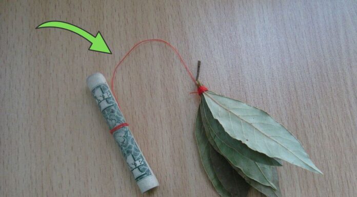 Як покращити атмосферу вдома за допомогою лаврового листа