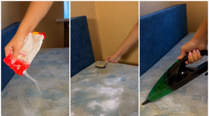 Посипаю содою диван 1 раз на 30 днів – і запахів немає жодних: обімліла від ефекту популярного лайфхаку Прибиральниці поділилися способом чищення диванів звичайною содою