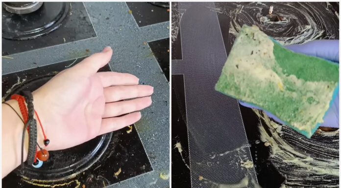 Господині показали, як зняти пригар з плити однією склянкою розчину