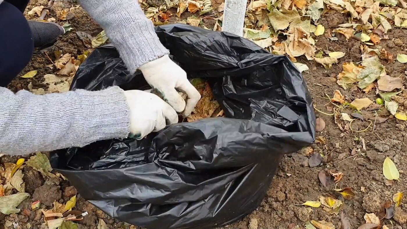 Городники показали 3 способи корисного використання опалого листя