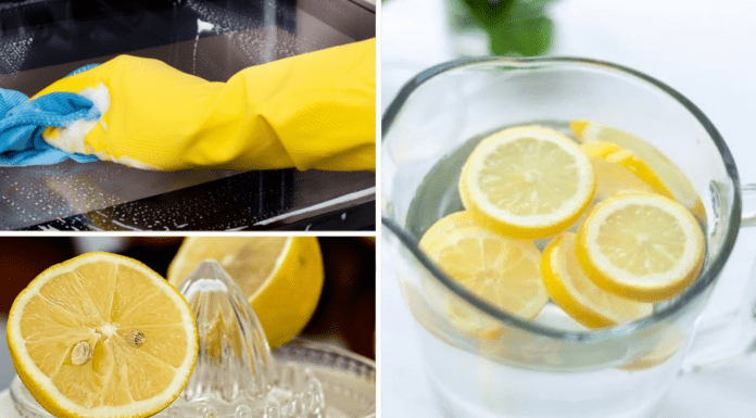 Як просто відчистити духовку за допомогою лимона